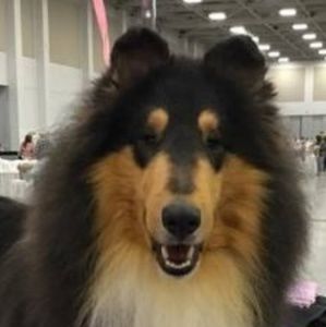 Meet your Posher, Christine